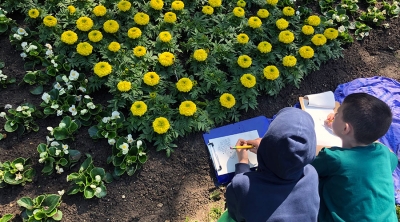 Third Grade Students Explore Plants!