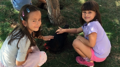 ​Chickens and their eggs arrive at the Anglo-American School of Sofia